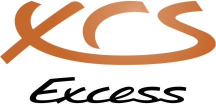 Excess Logo